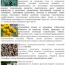 Драже Антигельминт с цветками ромашки / Урал, 90 табл.